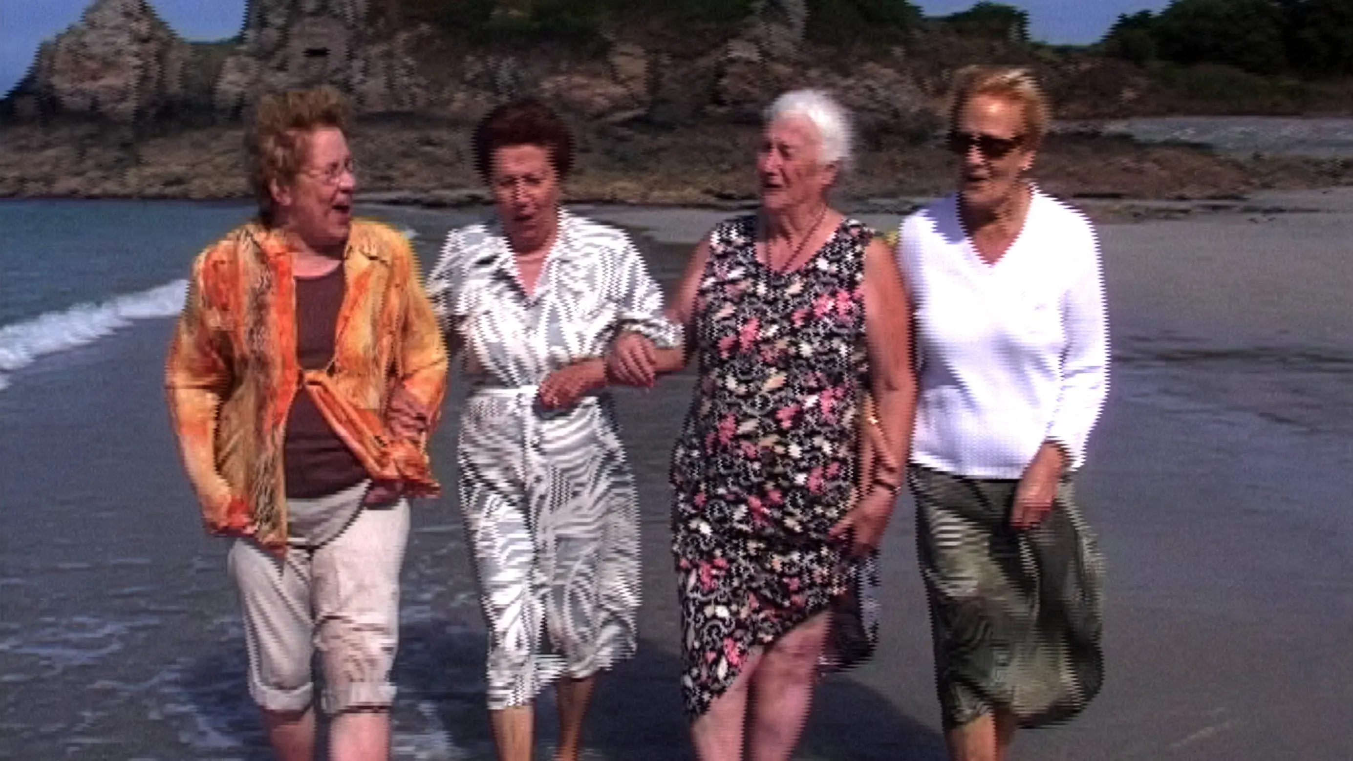 The Merry Companions
