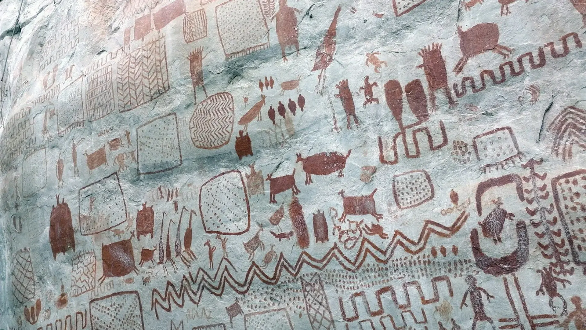 Les secrets des fresques d'Amazonie