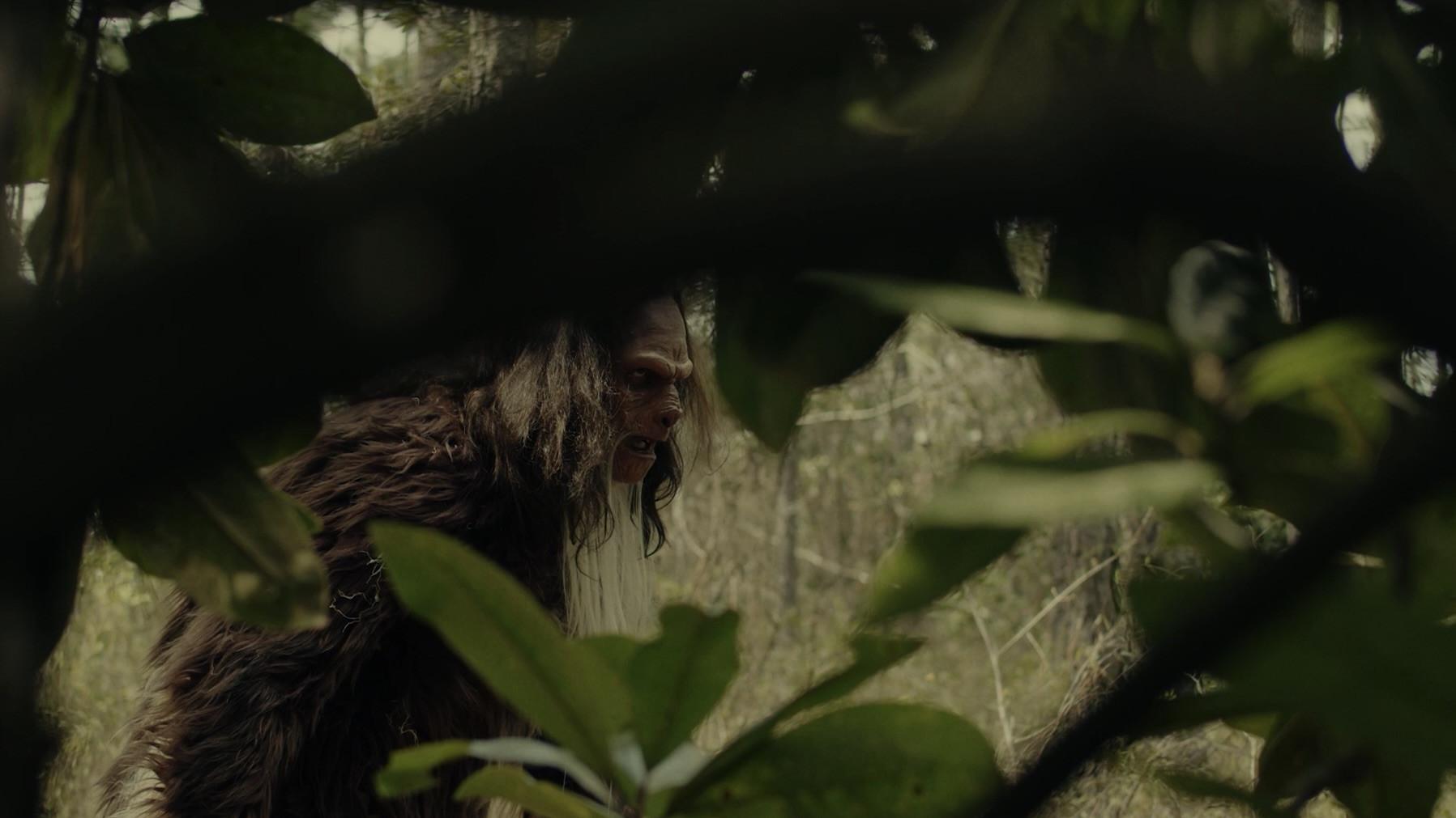 Sighting