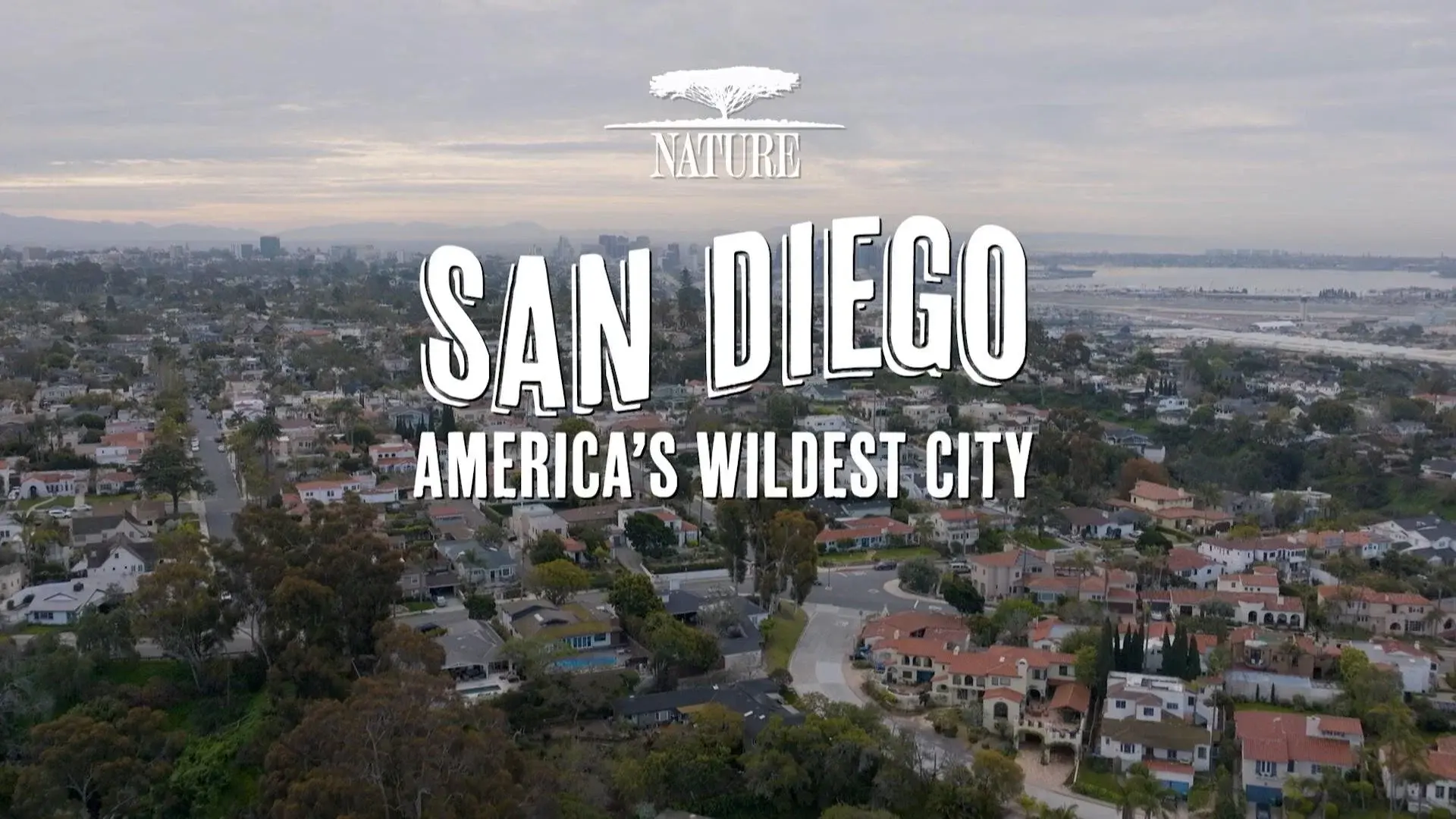 San Diego: America's Wildest City
