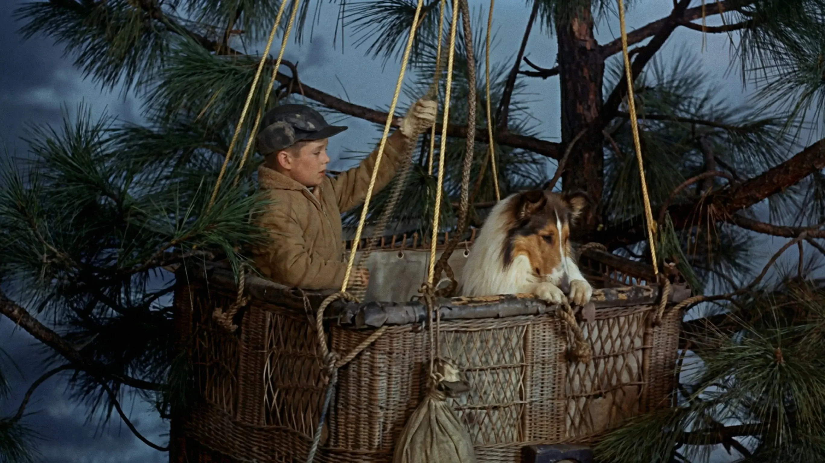 Lassie's Great Adventure