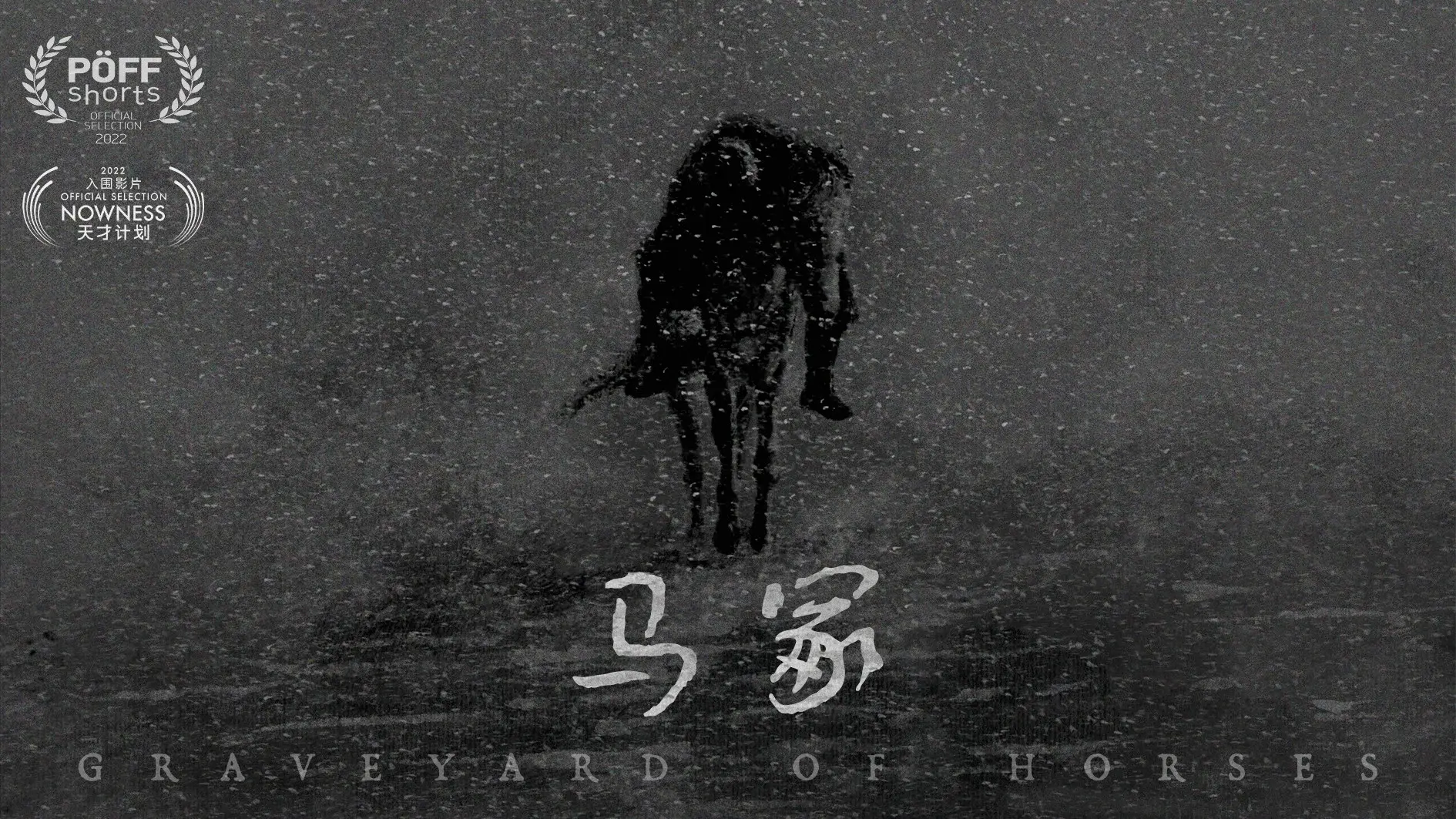 Graveyard of Horses