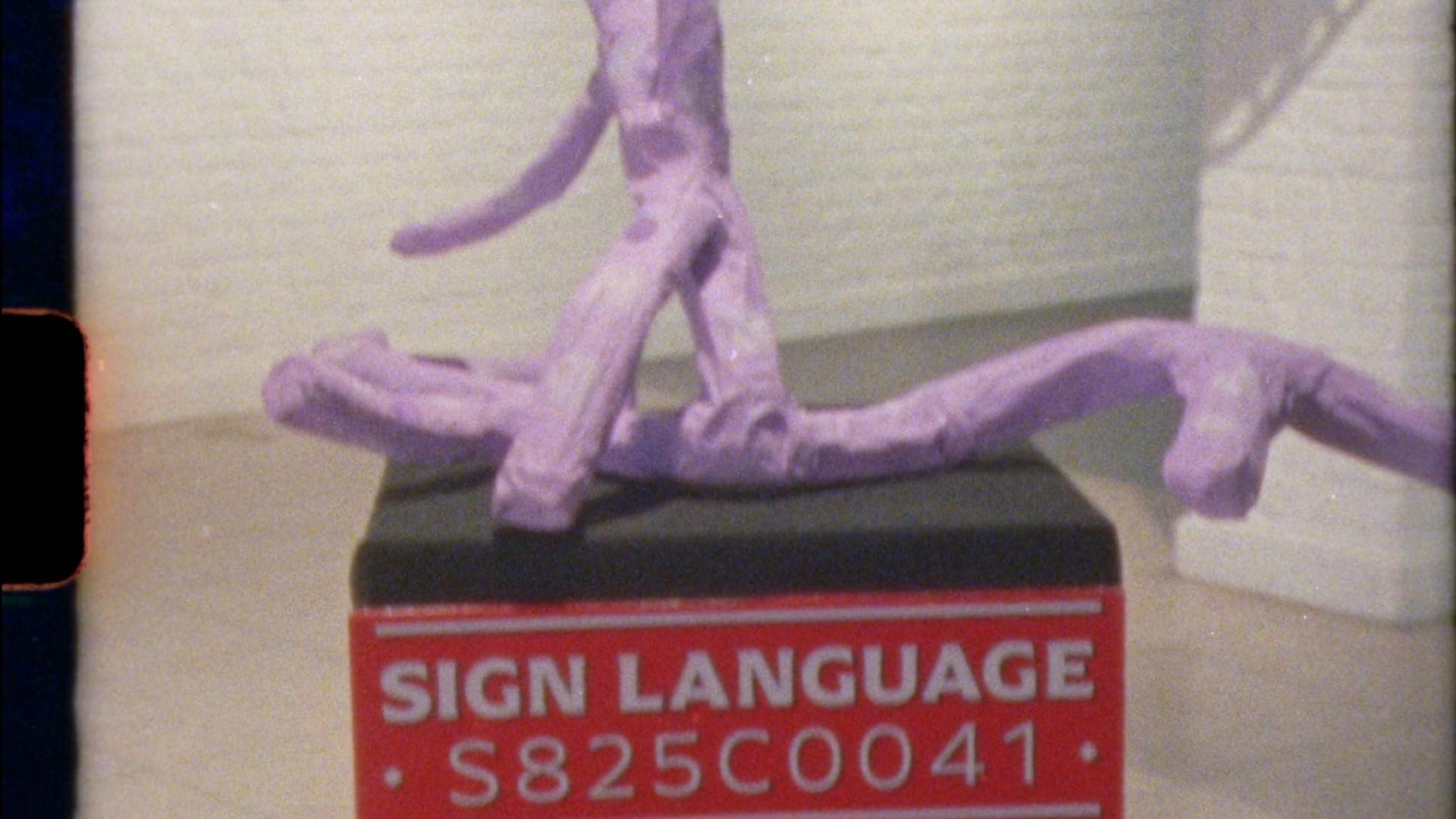 Sign Language