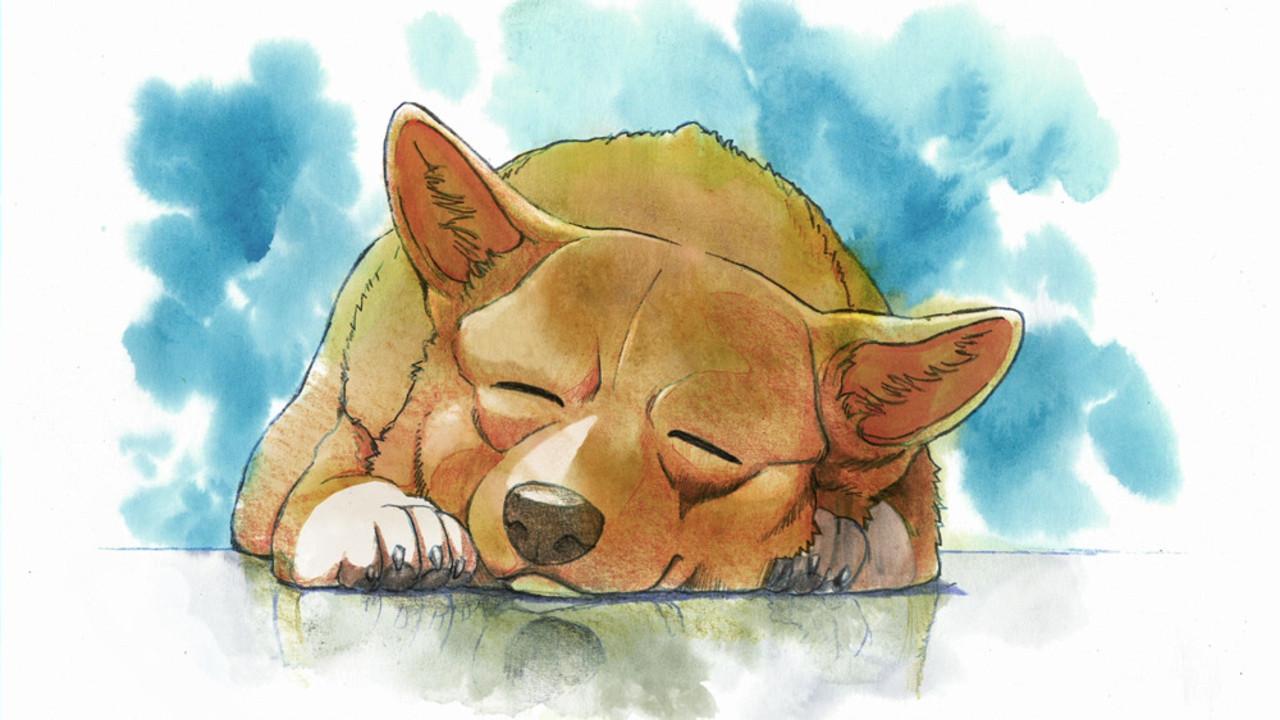 Ein's Summer Vacation