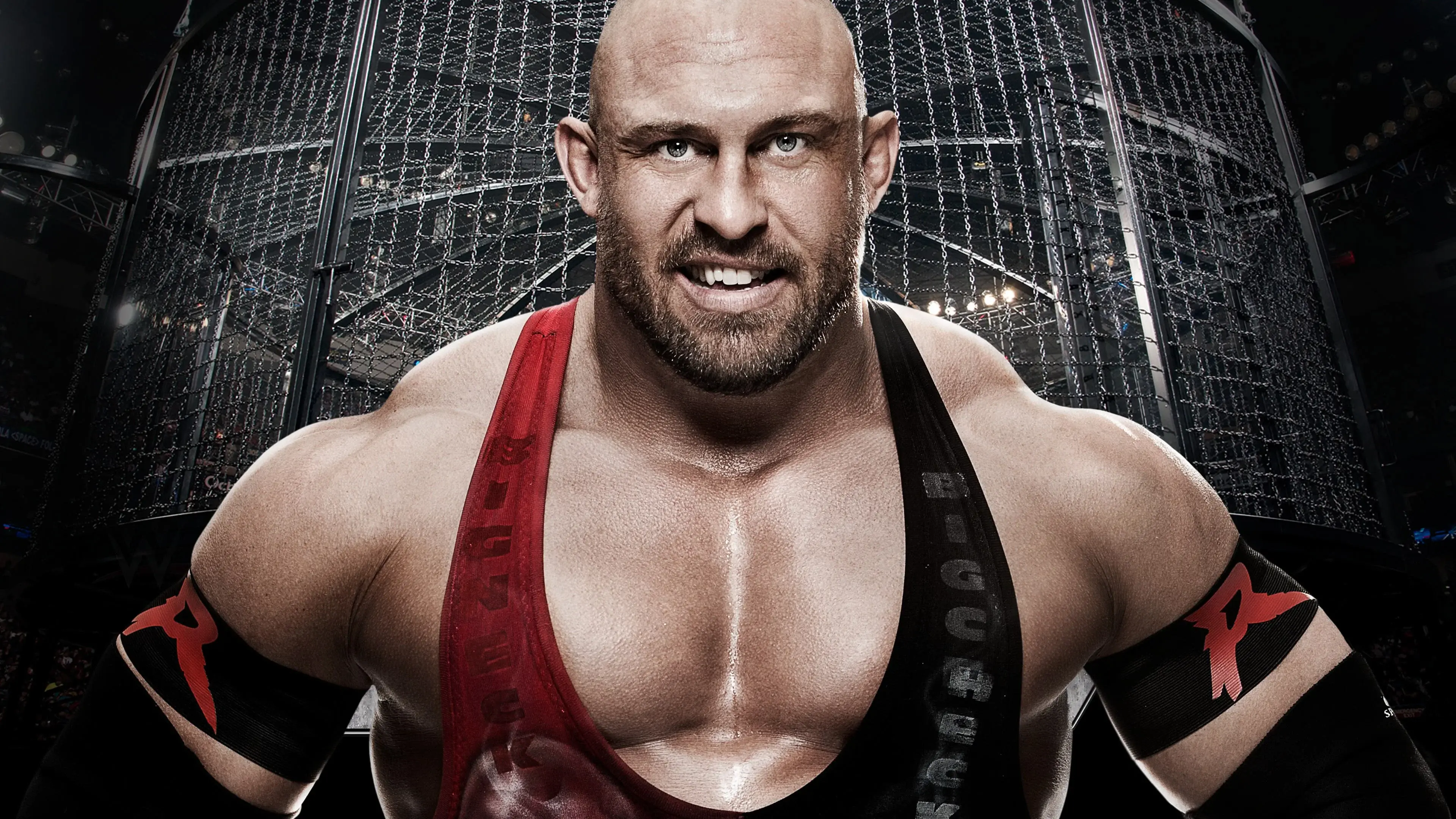 WWE Elimination Chamber 2015