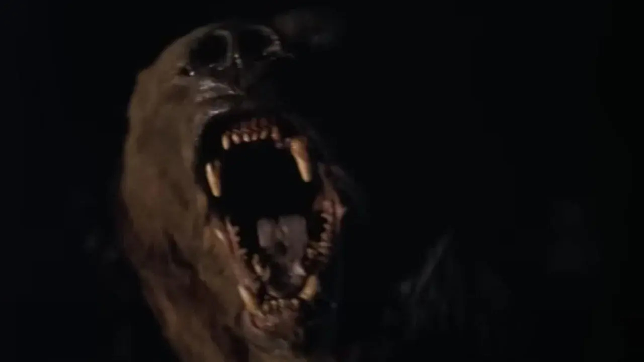 Wild Grizzly