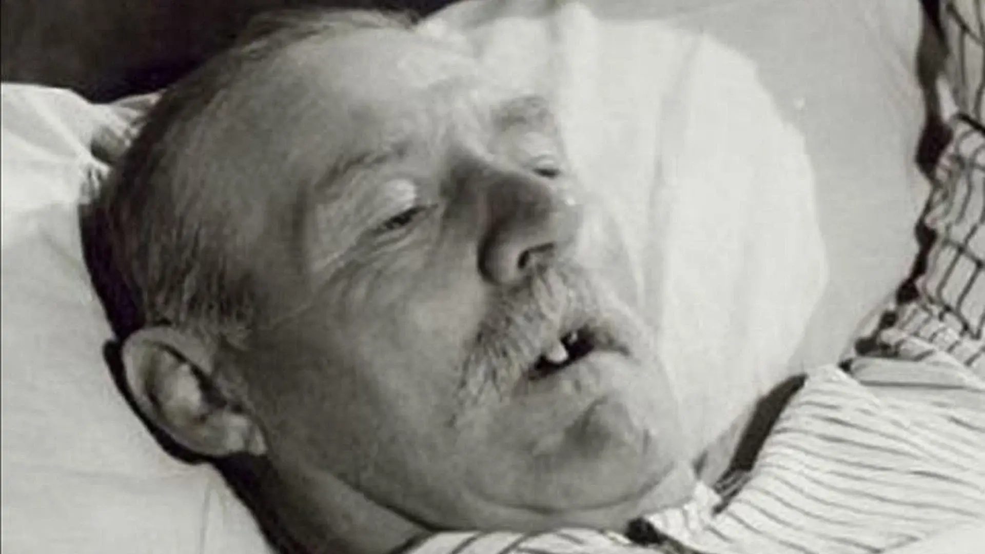 Life and Death in Flanders