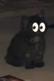 Sooty
