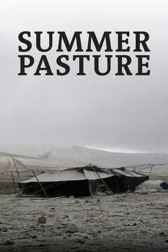 Summer Pasture