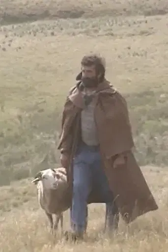 Shepherd and beyond
