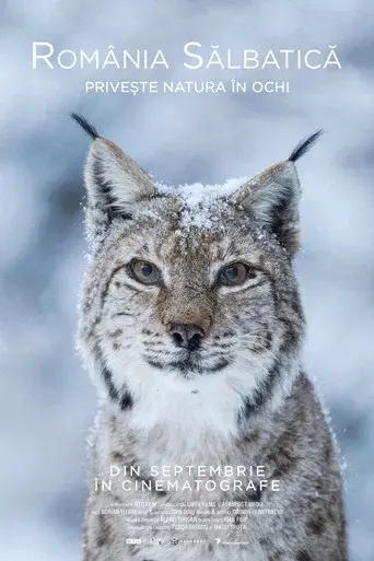 Wild Romania