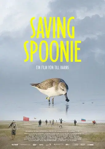 Saving Spoonie