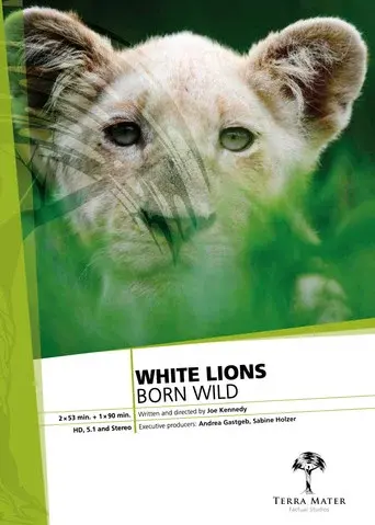 White Lions Born Wild