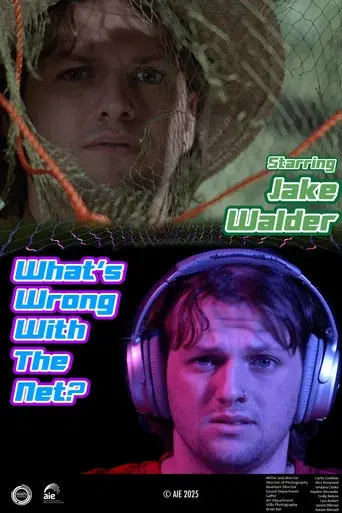 What's Wrong with the Net?