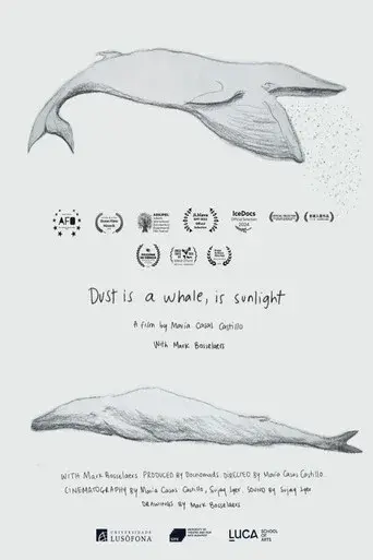 Dust is a Whale, is Sunlight