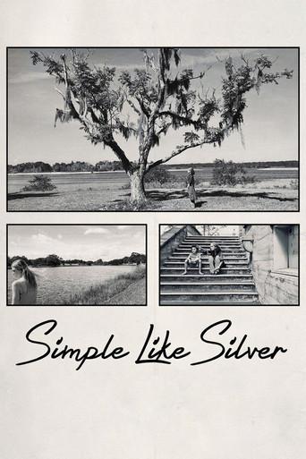 Simple Like Silver