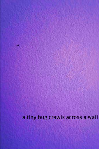 a tiny bug crawls across a wall