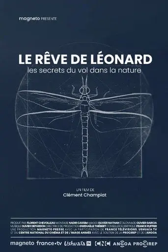 Le rêve de Léonard : Les secrets du vol dans la nature