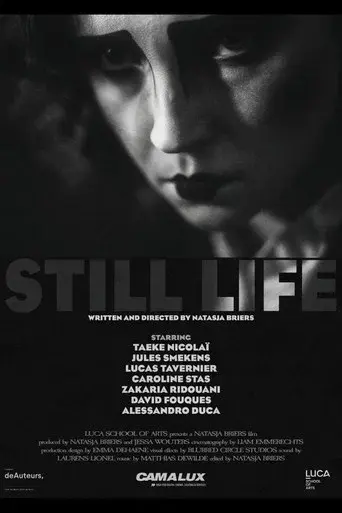 Still Life