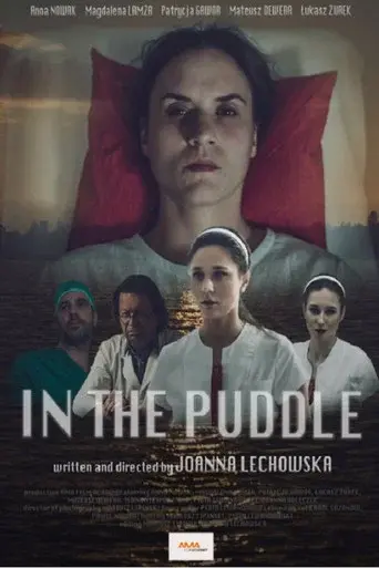 In the Puddle