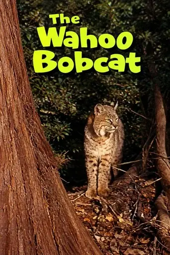 The Wahoo Bobcat