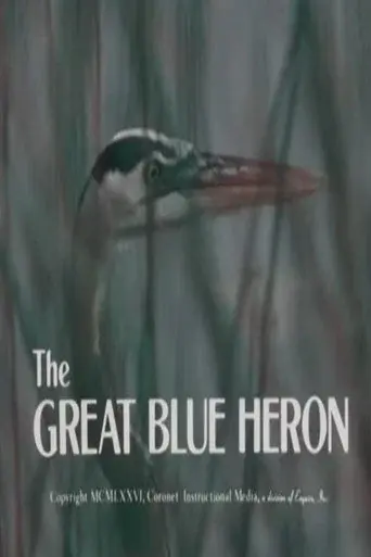 The Great Blue Heron
