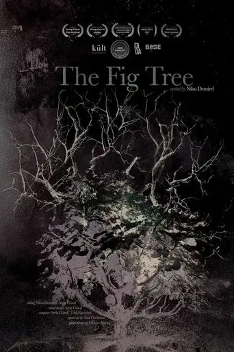 The Fig Tree