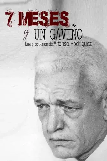 7 meses y un GaviƱo