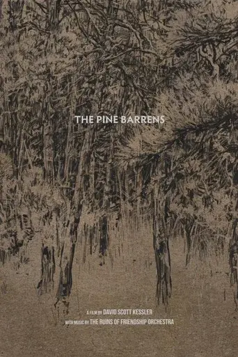 The Pine Barrens