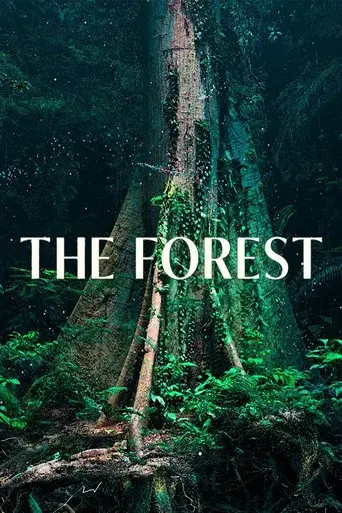 The Forest