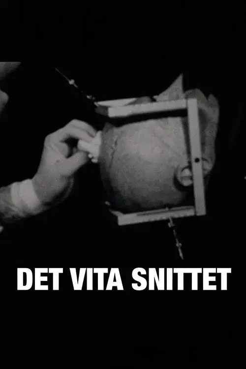 Det vita snittet