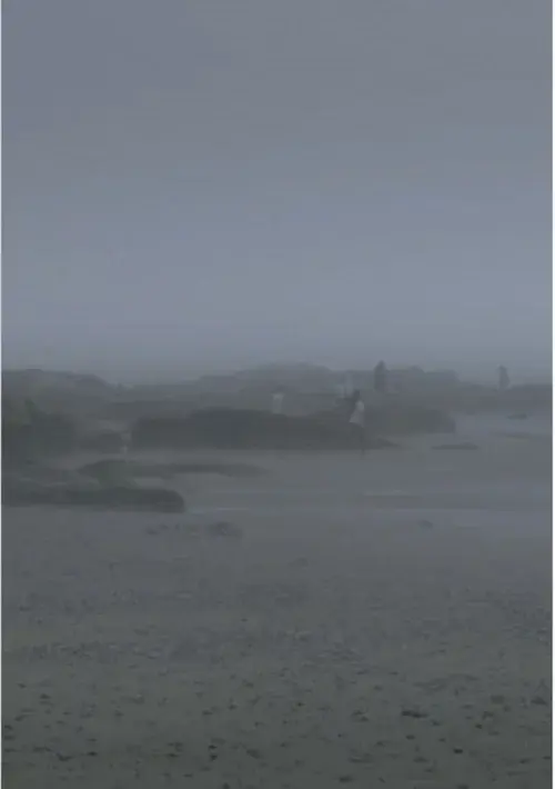 The Fog Has Covered The Moment Again
