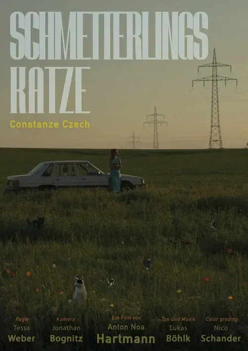 Schmetterlingskatze