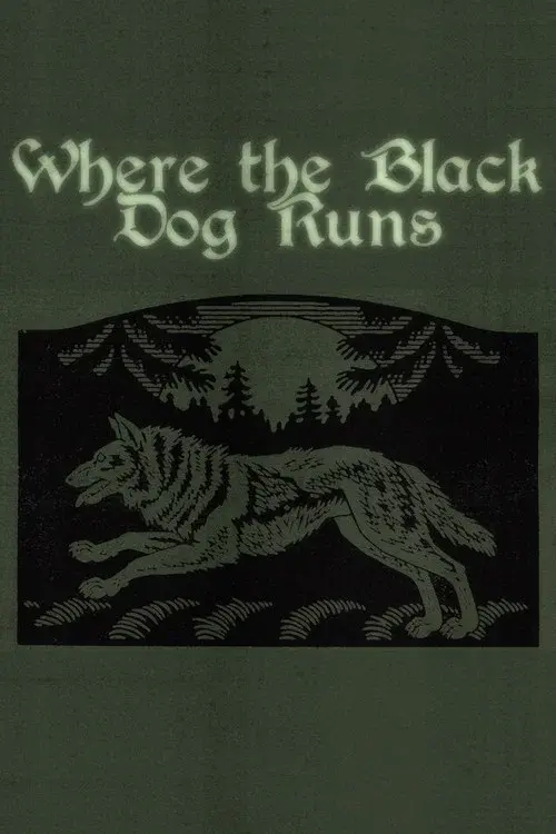 Where the Black Dog Runs