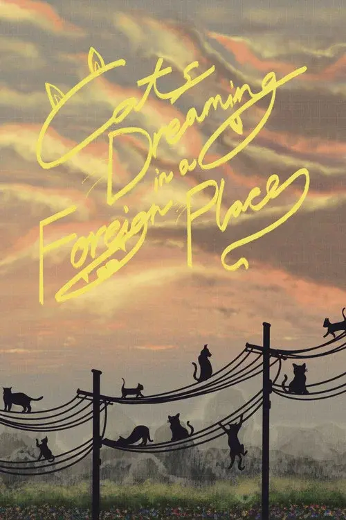 Cats Dreaming in a Foreign Place