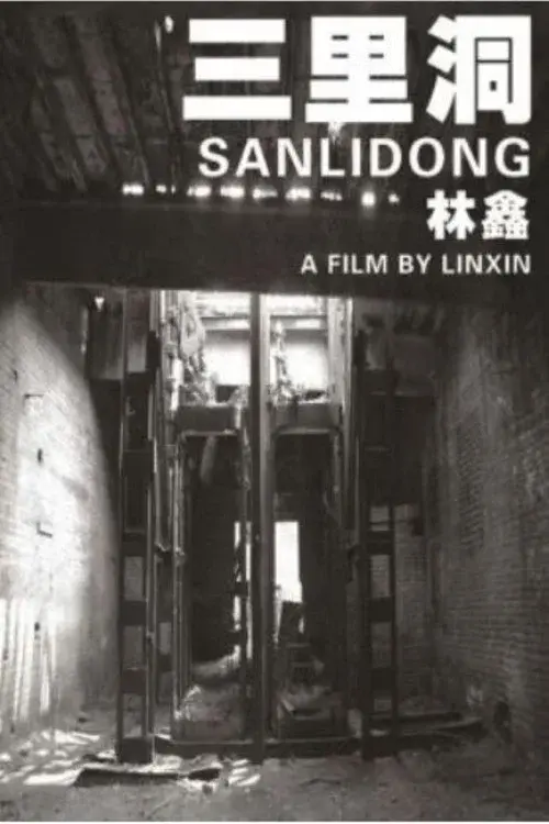 Sanlidong