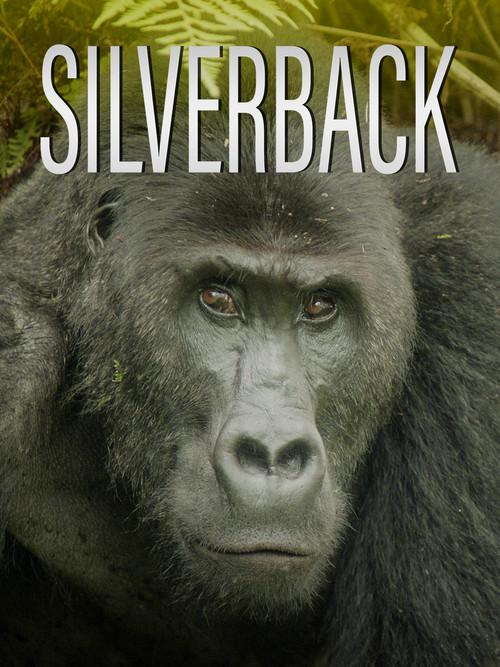 Silverback