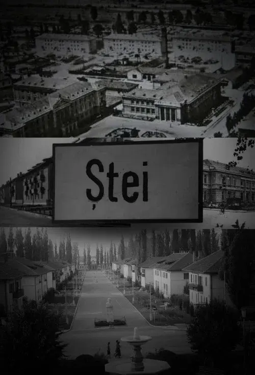 Ștei