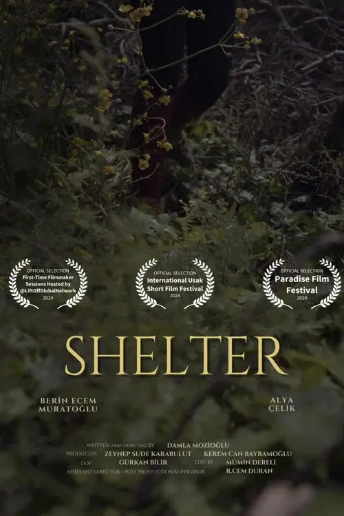Shelter