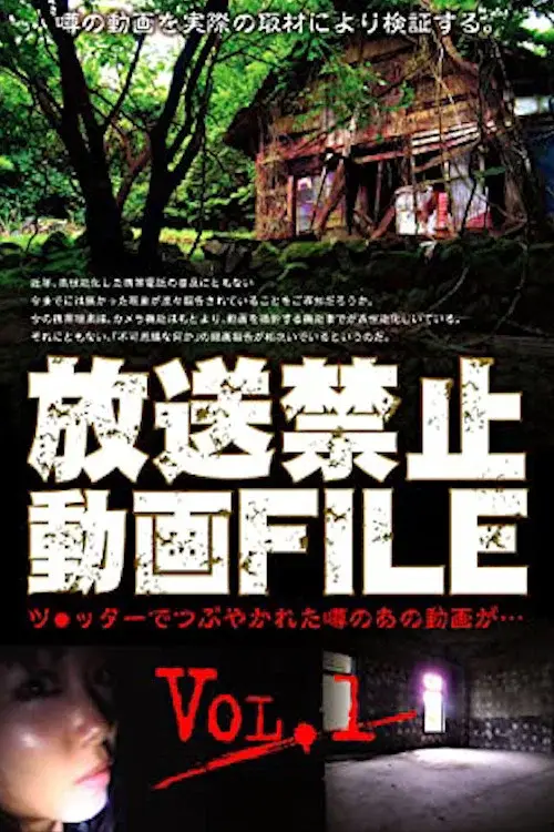 Banned Video File Vol. 1