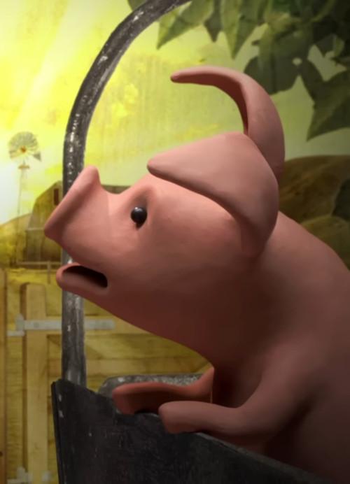A Pig's Tail