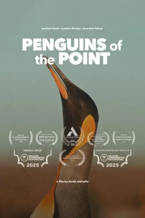 Penguins of the Point